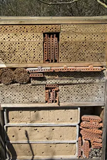 Ecofriendly Nesting Site Prints: Bee hotel