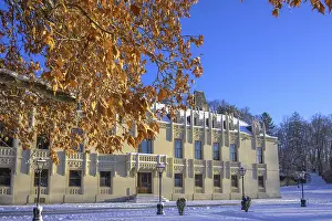 Lower Austria Scenery Prints: Beech leaves and wintry castle
