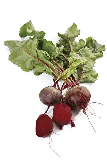 Beetroot Nutrition Prints: Beetroot