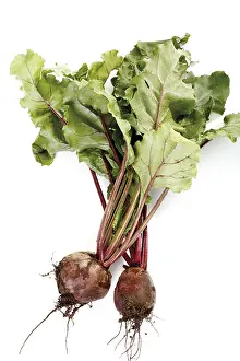 Beetroot Nutrition Prints: Beetroot