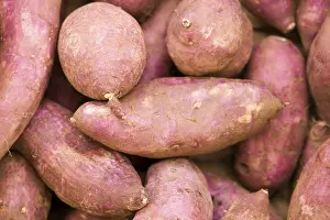 Red Beet Root Prints: Beetroot