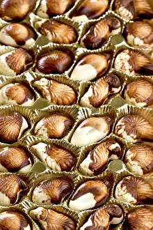 Full Frame Food Photography Prints: Belgian chocolate seashells