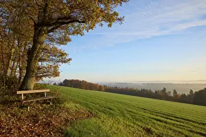 Cloudy Sky Landscape Photo Prints: Bench, grain field, forest, clouds