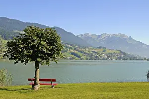 European Mountain Ranges Prints: Bench, tree, riverside, view, mountains