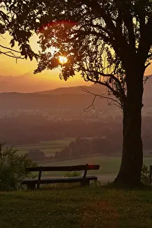 Evening Sky Atmosphere Prints: Bench under a tree, sunset, Podgrad