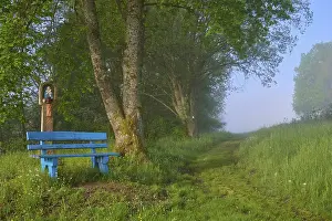 Wayside Crucifix Prints: Bench, wayside shrine, path, tree