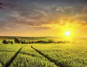Evening Farmland Scene Prints: Beuatiful sunset in fields of Moravia