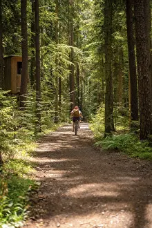 European Cycling Routes Prints: Bicycle from behind through the forest