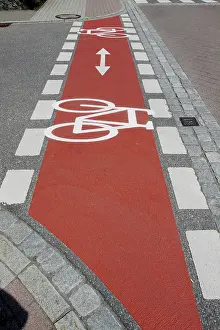 Directional Arrow Sign Prints: Bicycle path marked with red