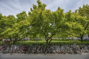 Southern Germany Bike Ride Prints: Bicycles in front of the Kaisergartchen