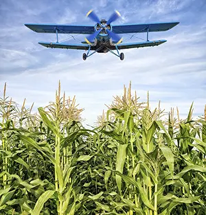 Deserted Farm Scene Prints: biplane over a maize field