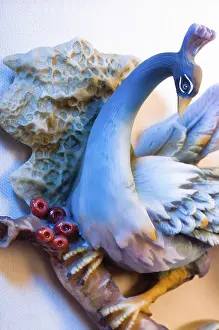 Natural Environment Animal Photography Prints: Bird on canvas