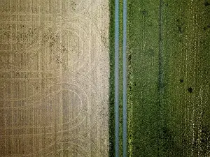 Prints of Bird's-eye view of divided fields in various colors and textures, drone, Amberg, Neumarkt, Upper Palatinate, Bavaria, Germany Bird's-eye view of divided fields in various colors and textures, drone Aerial View Prints: Bird's-Eye View Print of Amberg Fields, Germany