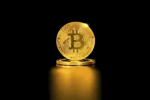 Online Payment Transaction Prints: Bitcoin and reflection. Physical bit coin