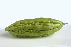 Deserted Fruit Prints: Bitter cucumber