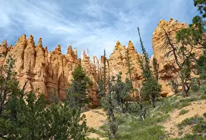 Reddish Sandstone Formations Prints: Bizarre rock formations, Hodoos