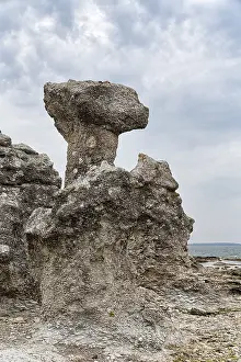 Raukar Limestone Column Prints: Bizarre rocket, Raukar, limestone column