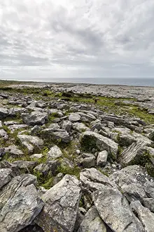 Bizarre Limestone Slabs Prints: Bizarrely shaped limestone slabs