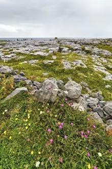 Deserted Coastline Photography Prints: Bizarrely shaped limestone slabs