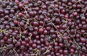 Vegetarian Food Prints: Black cherries