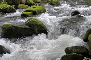 German Federal Republic Landscape View Prints: Black Forest Stream, Eyach