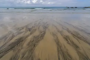 Deserted Cornish Coast Prints: Black patterns and lines on the sand on the beach in St
