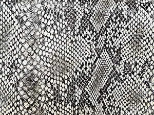 Isolated On A White Background Image Prints: Black and white background in snake pattern style