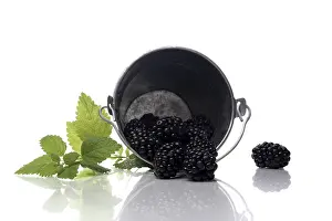 Healthy Eating Fruits Prints: Blackberries