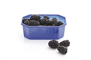 Blackberry Fruit Prints: Blackberries in a plastic box