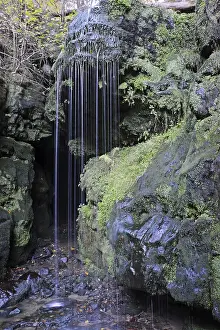 Elbe Sandstone Mountains Scenery Prints: Blackbird fall, waterfall, stream
