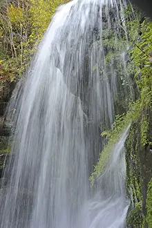Elbe Sandstone Mountains Landscape Prints: Blackbird fall, waterfall, stream