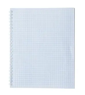 Plain Background Prints: Blank chequered notepad against a white background
