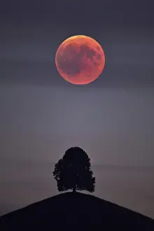 Lunar Eclipse In Europe Prints: Bloodmoon, total lunar eclipse