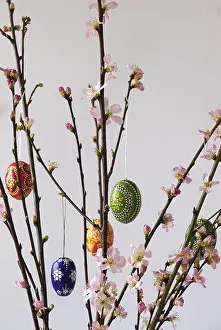 Decorative Peach Branches Prints: Blooming branches of a peach tree in a vase decorated with Easter eggs