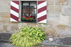 Uninhabited Bavarian Landscape Prints: Blooming hosta in front of a window