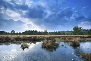 Overcast Sky With Cloud Reflection Prints: Blue cloudscape over wild swamp
