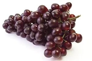 Fruity Food Photography Prints: Blue grapes