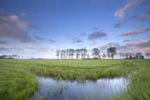 Blue Sky Reflection Prints: Blue sky reflected in river on meadows