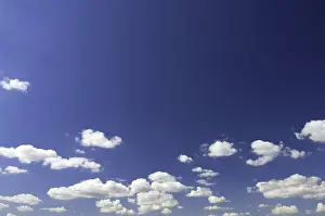 White Cloud Formation Prints: Blue sky with white clouds
