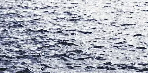 Blue Water Surface Prints: Blue water surface with small waves