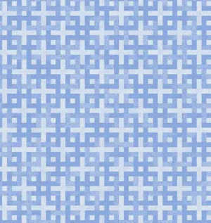 Images Dated 20th February 2024: Blue and White Geometric Pattern Print