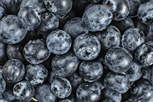 Close Up View From Above Prints: Blueberries - close up detail from above