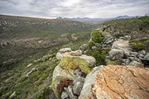 Panoramic View Of Canyon Prints: Blyde River Canyon, Upper Viewpoint