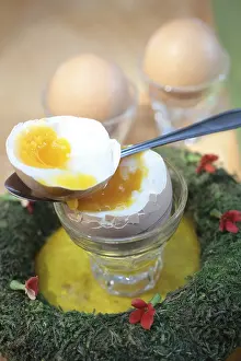 Egg Yolk Nutrition Facts Prints: Boiled egg in an egg cup