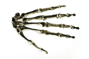 Human Hand Anatomy Prints: Bones of the human hand, anatomical illustration