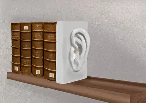 Empty Bookshelf Prints: Book stopper