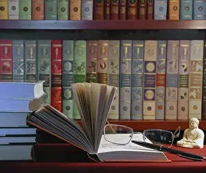 Stacked Literature Prints: Books in Library