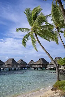 Images Dated 2nd May 2024: Bora Bora Print: Tropical Island Paradise