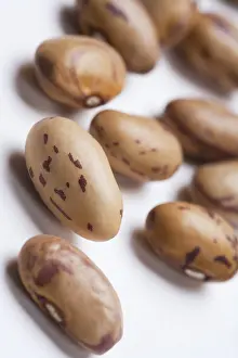Grocery Shopping Essentials Prints: Borlotti beans