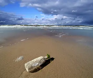 Message In A Bottle Prints: Bottle post bottle washed up on a beach